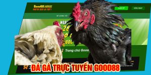 đá gà trực tuyến good88