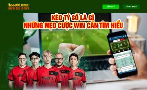 Kèo Tỷ Số Là Gì Và Những Mẹo Cược Win Cần Tìm Hiểu